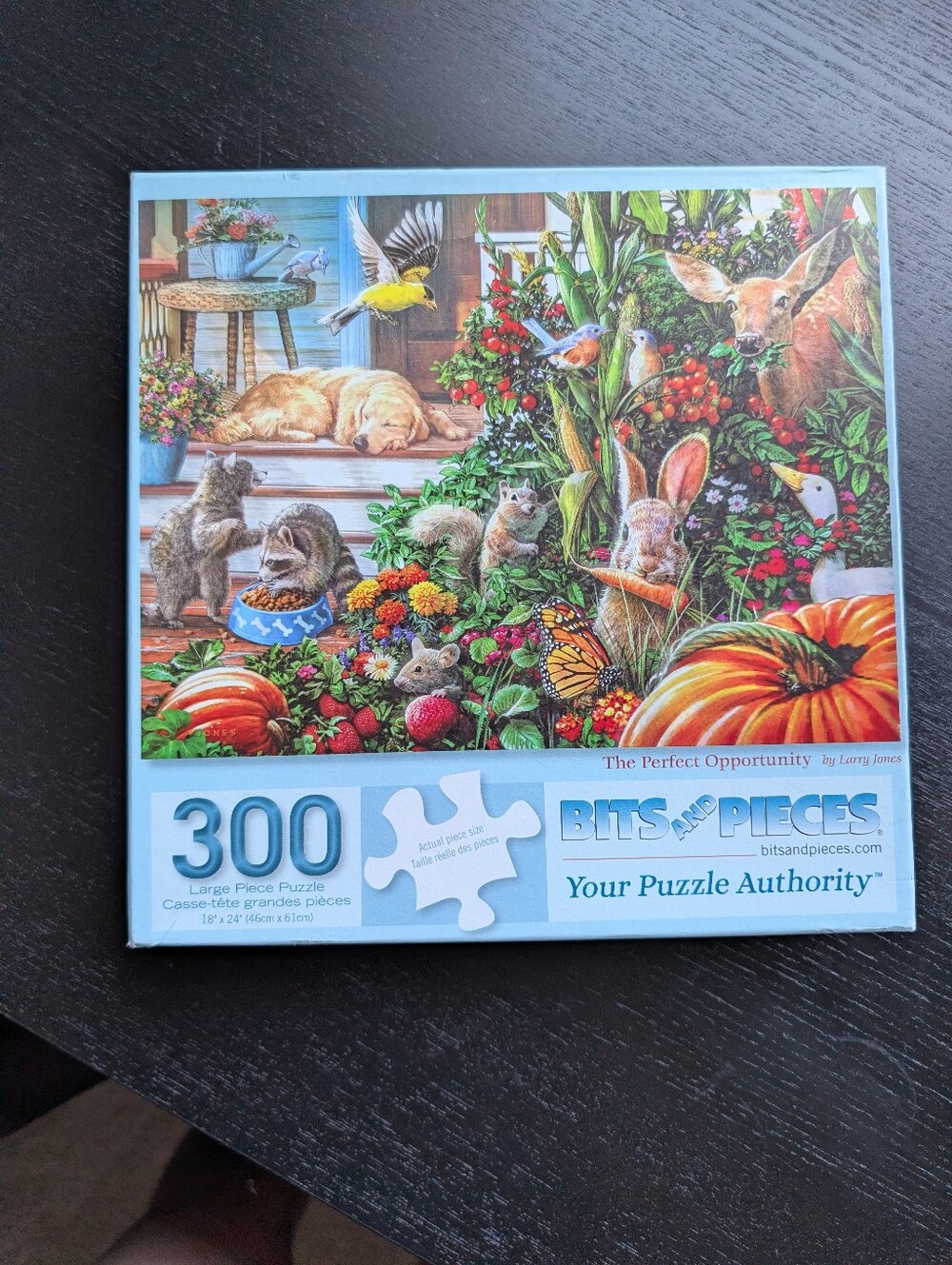 Bits and Pieces 300 Piece Puzzle